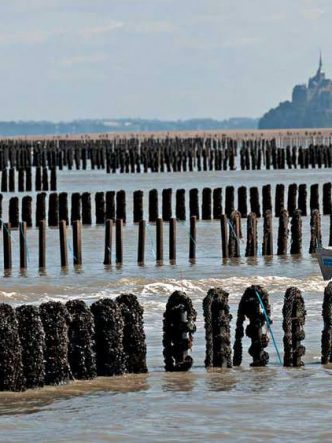 Moules de bouchot de la Baie du Mont Saint Michel - Une Geekette En Cuisine