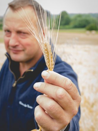 Denis, agriculteur céréalier et producteur de bière dans le Véxin