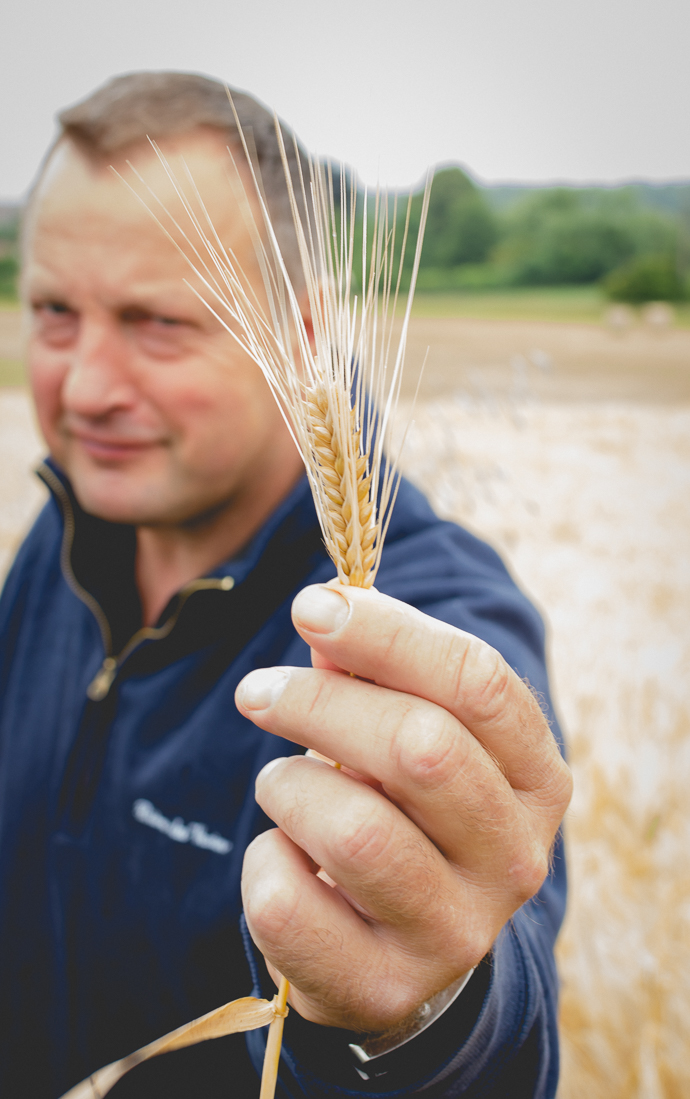 Denis, agriculteur céréalier et producteur de bière dans le Véxin