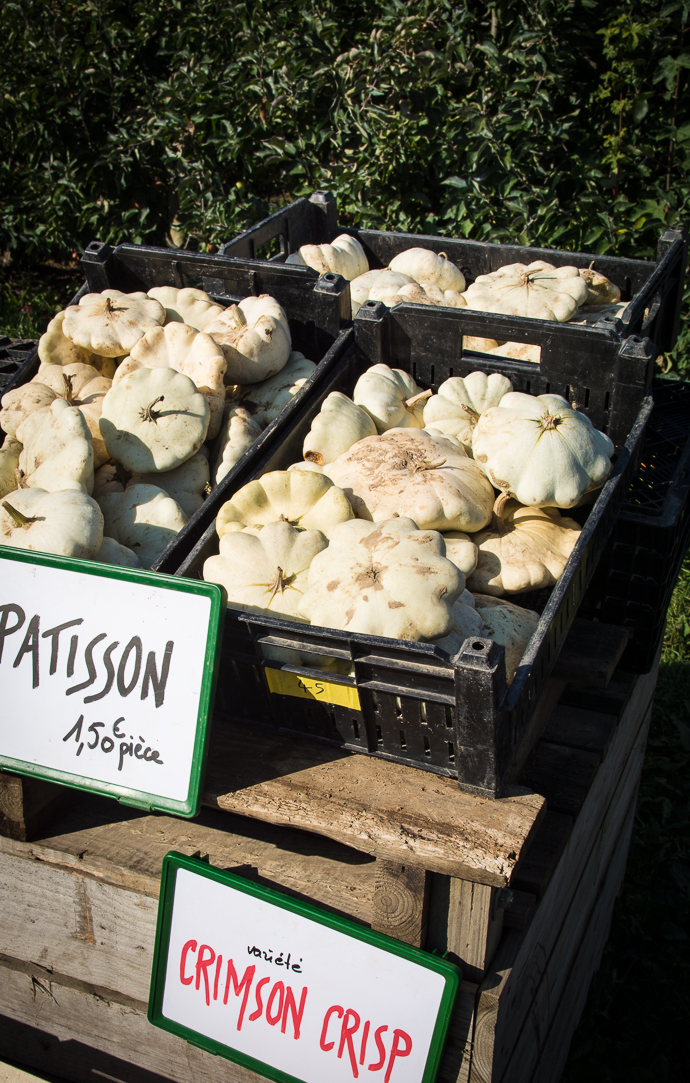 Récoltez vos pâtissons à la cueillette de la Ferme de Viltain, Paris