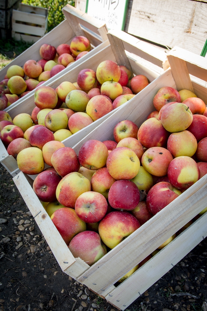 Une grande variété de fruits du verger sont présents sur place et cultivés sans pesticides, Ferme de Viltain, Paris