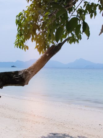 Plages paradisiaques, faire la fête et boire pas cher : les avantages de l'île de Langkawi en Malaisie