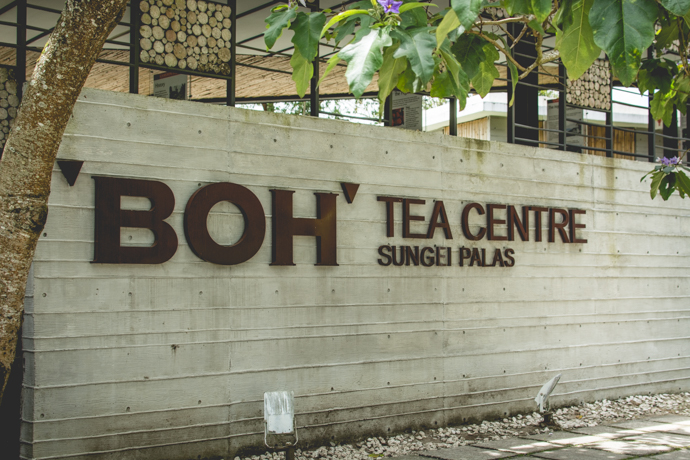 Visite incontournable à faire à Cameron Highlands, Tanah Rata, la Boh Tea Estate