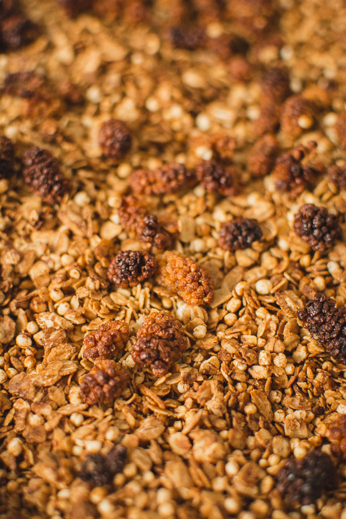 recette-vrac-granola-bio-soja-proteine-geekette-cuisine