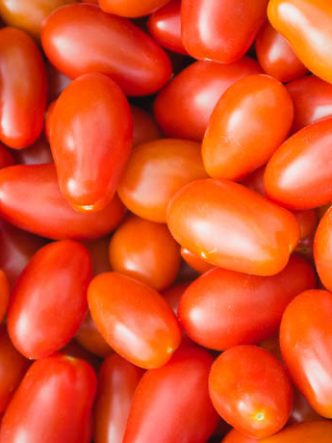 photo de tomates cerises allongées des Paysans de Rougeline - sans pesticides