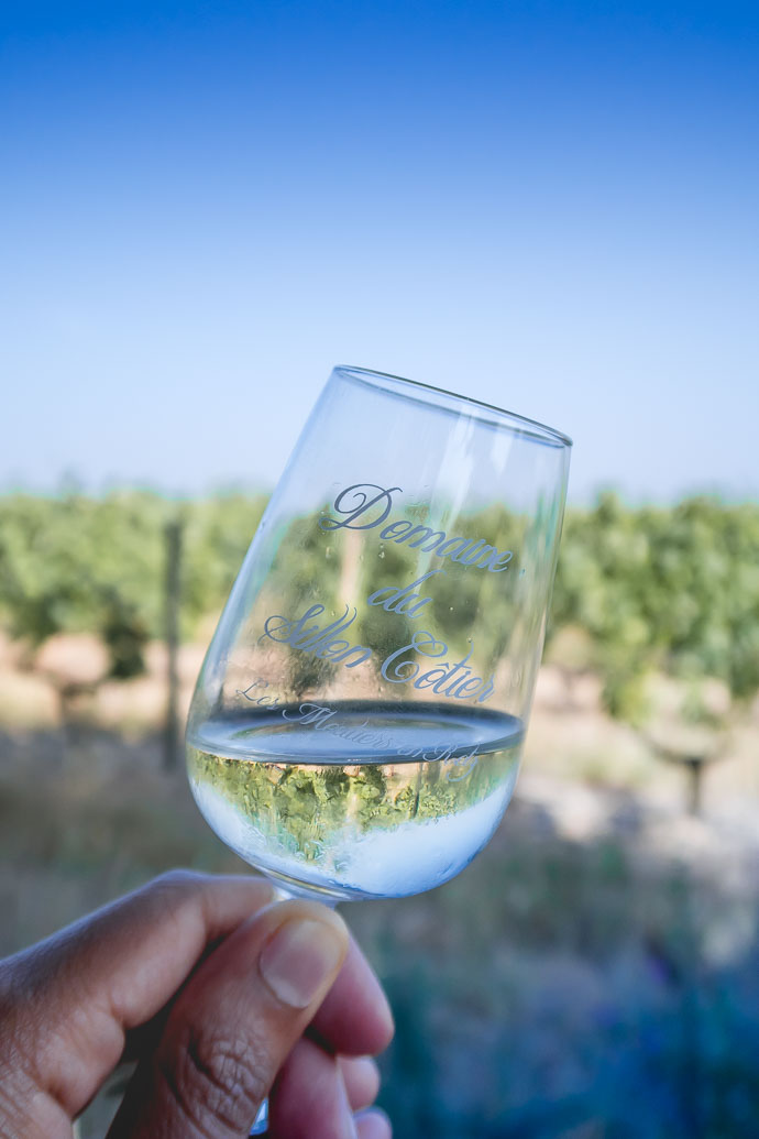 Le Gros Plant - un vin simple idéal pour un apéritif dans les vignes