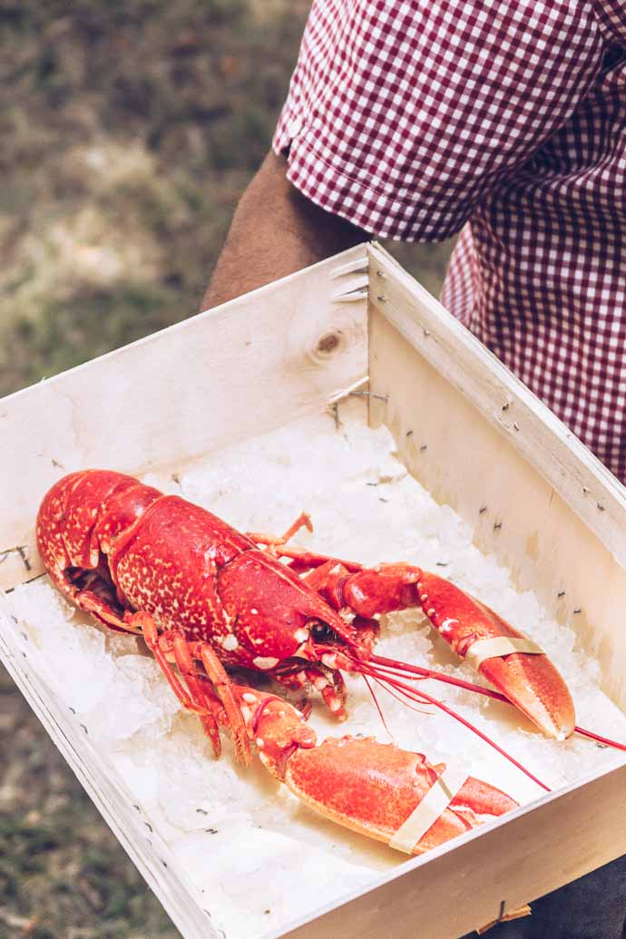 Un homard fraîchement péché pour un déjeuner en plein air - Muscadet 