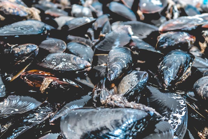 Moules du Pays Nantais 