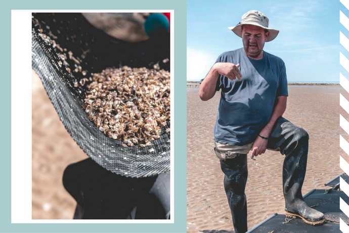 Une huître met environ 4 ans à atteindre sa taille d'adulte - Perles de Jade - Muscadet 