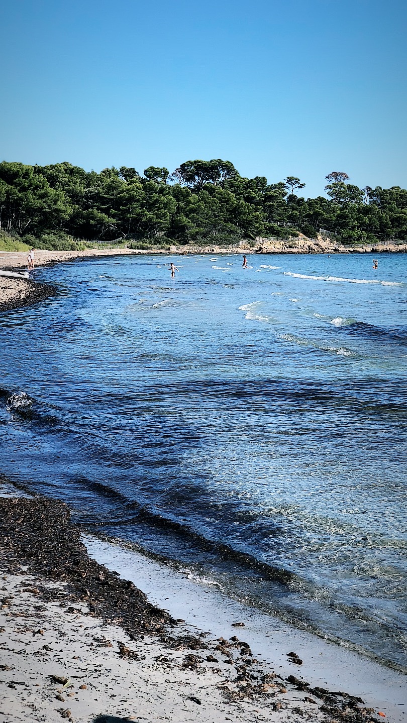 Figuière - La Londe les Maures - vignes entre terre et mer