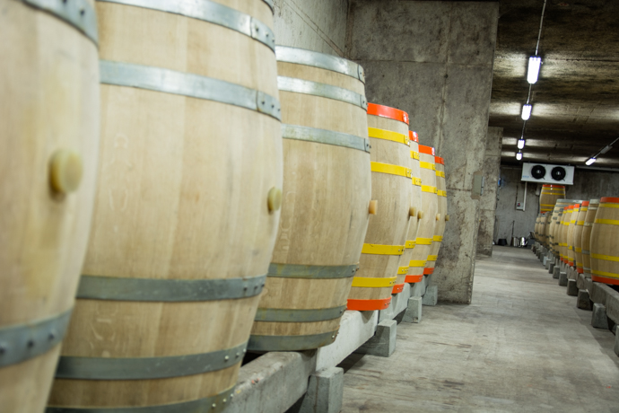 Domaine de Chanzy - résonnance harmonique dans les chais pour équilibrage des acides aminés - biodynamie