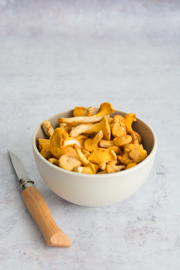 Préparation des girolles - comment faire ?