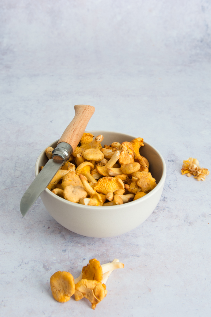 Les girolles sont de saison en Automne, profitez-en pour en consommer !