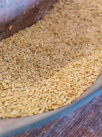 La Maison du Riz de Camargue -découverte de la fabrication du riz de Camargue