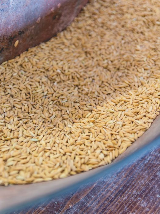 La Maison du Riz de Camargue -découverte de la fabrication du riz de Camargue