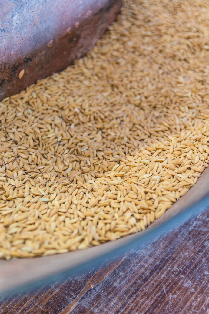 La Maison du Riz de Camargue -découverte de la fabrication du riz de Camargue