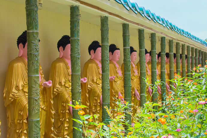 Ligne de boudhas, Kek Lok Si Temple, Penang, Malaisie