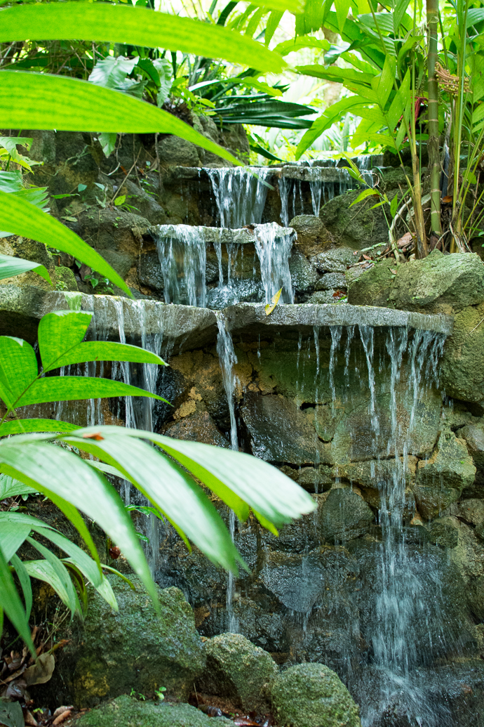 Cascade d'eau au Tropical Spice Garden, Penang, Malaisie