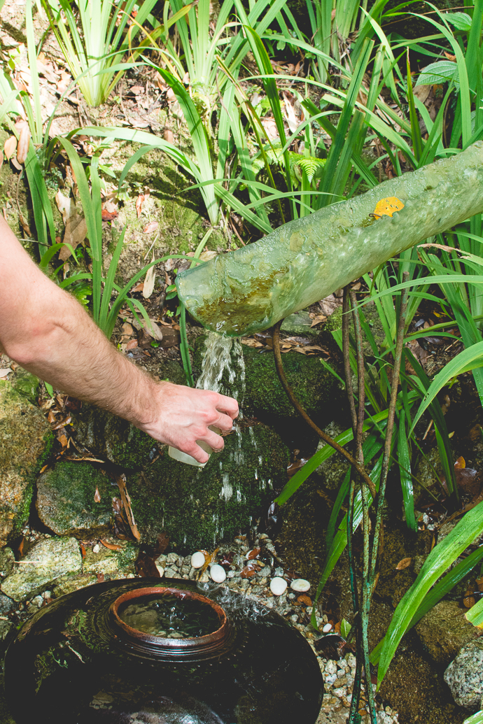 Se servir de l'eau potable, directement à la source, Tropical Spice Garden, Penang, Malaisie