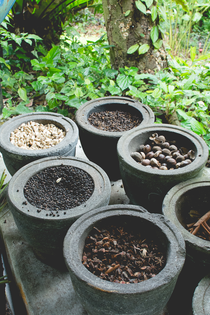 Les épices récoltées au Tropical Spice Garden, Penang, Malaisie