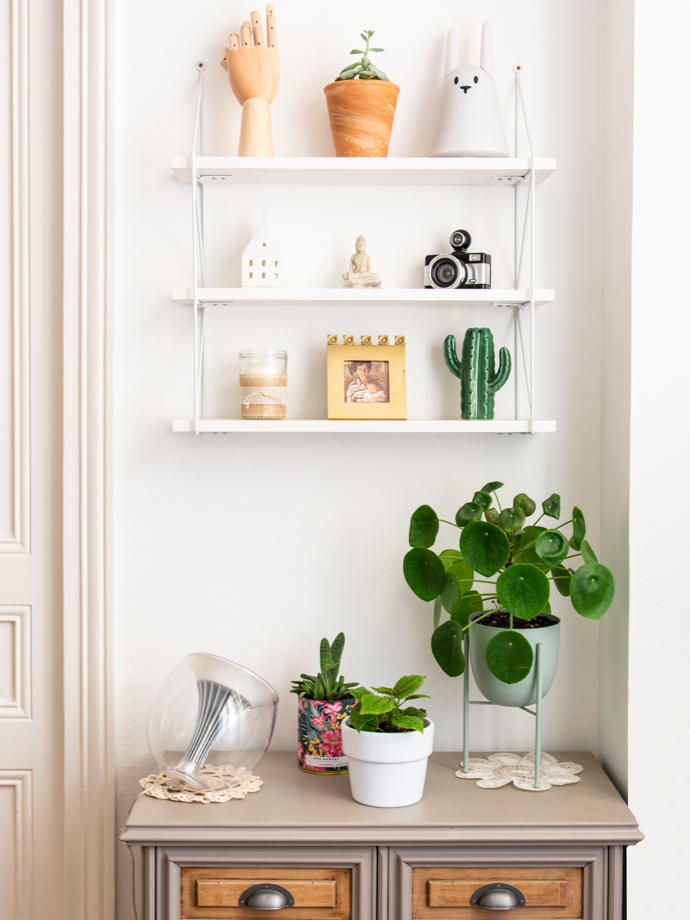 Pilea Peperomioides, une plante facile d'entretien et qui vous donnera une multitude de boutures