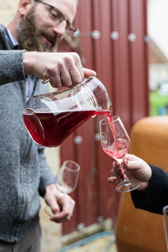 Dégustation de Poulsard avant embouteillage, vin jeune et croquant de la région du Jura