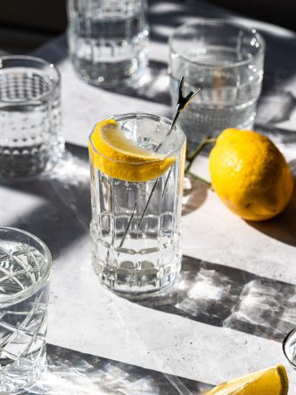Cocktail Gin & Tonic - parfait pour l'apéritif