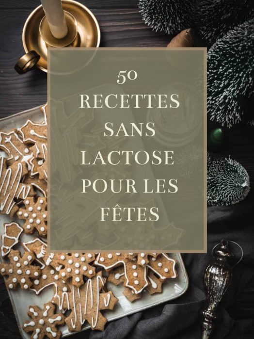 +de 50 recettes sans lactose pour les fêtes - Réveillons, Noël et Nouvel An